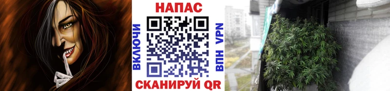 Каннабис Ganja  Данилов 